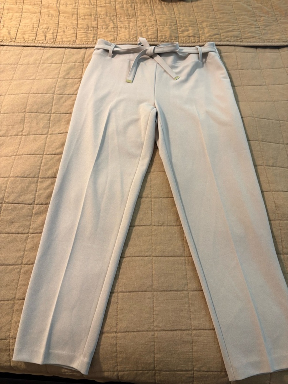 Nude Tie-Waist Dress Pants 10P